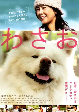 秋田犬蓬夫